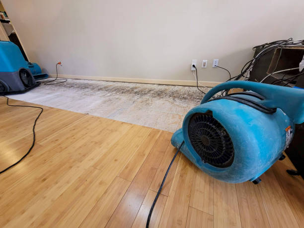 Professional Flood Damage Cleanup technician working in Mineral Springs, AR